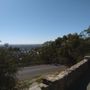 Photo of Windy Point Lookout