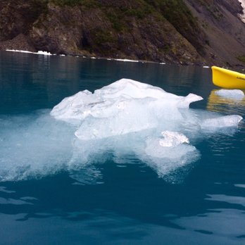 Miller's Landing - Kayak tour was more than worth it - Tours Near Me - Seward, Alaska
