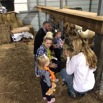 Shaka Alpaca Farm - Petting Zoos Near Me - Murphy, North Carolina