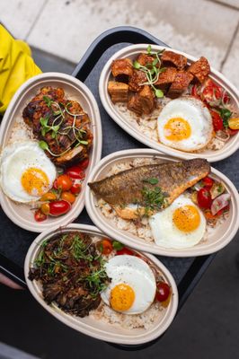 SUN RICE • BRUNCH • DINNER • COCKTAILS by null