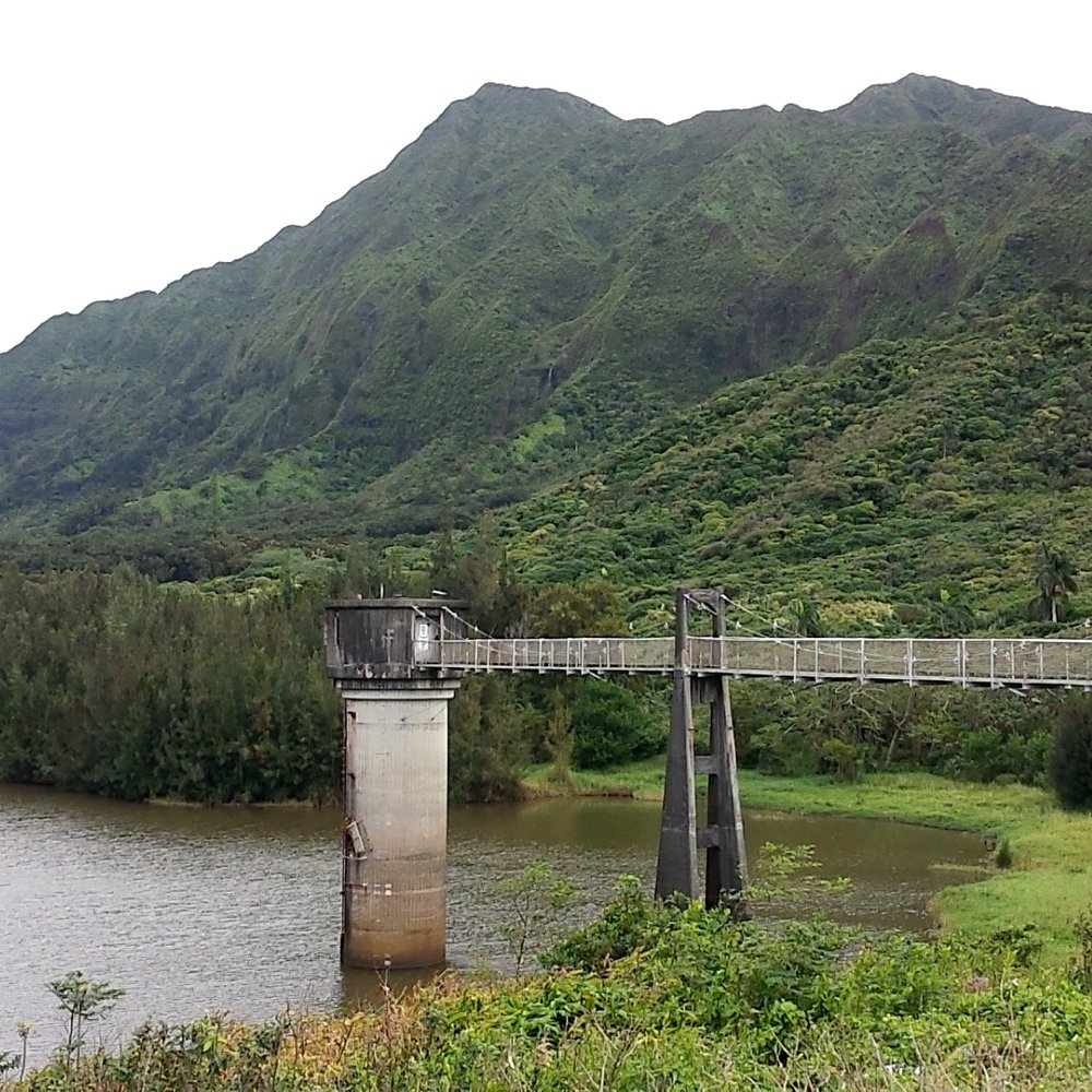 Lulumahu Falls - The water tower. - Hiking Near Me - Honolulu, Hawaii