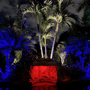 Turf Grass & Landscape - palm trees with blue and red lights - Landscaping Near Me Turf Grass & Landscape - palm trees with blue and red lights - Landscaping Near Me