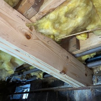 Aggressive Pest Elimination - Pest Control Near Me - Franklin, New Jersey Aggressive Pest Elimination - Pest Control Near Me - Franklin, New Jersey