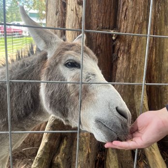 Bushel & Barrel Ciderhouse - Donkey! - Cideries Near Me - Poulsbo, Washington