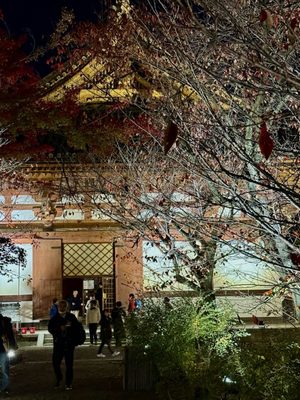 To-ji Temple by null