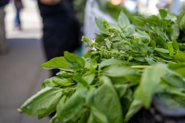 Ferry Plaza Farmers Market by null Ferry Plaza Farmers Market by null