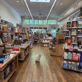 Copperfield's Books - Inside and shop cat - Books, Mags, Music & Video Near Me - Healdsburg, California