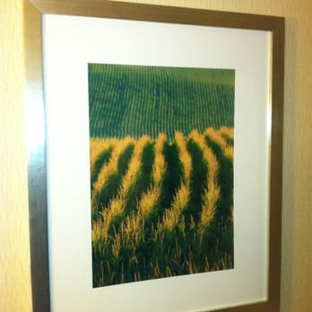 Bloomington Normal Marriott Hotel - A large picture of a field of Corn in the bathroom? Corn? Bloomington must have more artistic taste.... or not. - Hotels Near Me - Normal, Illinois