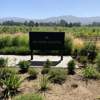 Mumm Napa - Wine Tasting Room Near Me - Rutherford, California