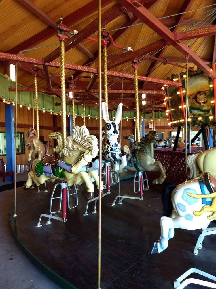 Carousel In the Park Logo