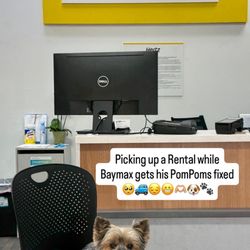 Hertz Rent A Car - Picking up a rental while Baymax gets his PomPoms fixed 03-17-2026