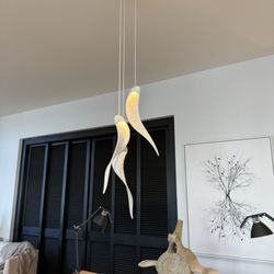 Summer Story - Some incredible light fixtures