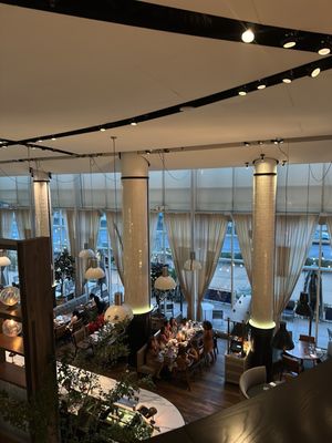 St. Cecilia by null St. Cecilia by null