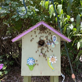 Friendly Bee - Pest Control Near Me