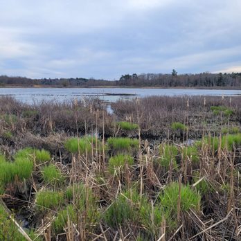 Little Pond Boardwalk Trail - Hiking Near Me Little Pond Boardwalk Trail - Hiking Near Me