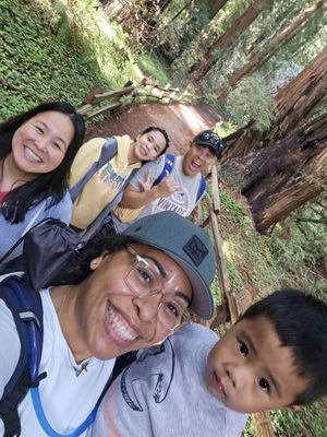 Muir Woods National Monument by null