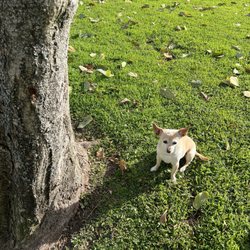 Lindberg Park - Grounding...