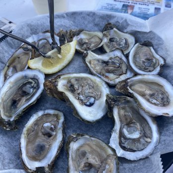 Nautilus Restaurant - Local oysters - Seafood Near Me - Virginia Beach, Virginia Nautilus Restaurant - Local oysters - Seafood Near Me - Virginia Beach, Virginia
