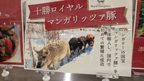 Hankyu Department Store Umeda Main Store by null