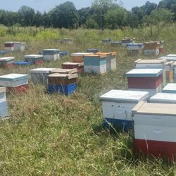Sunrise Bee Supply - Beehives