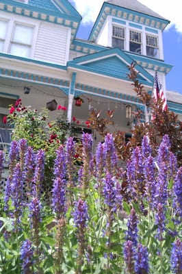 Garden House Bed & Breakfast by null