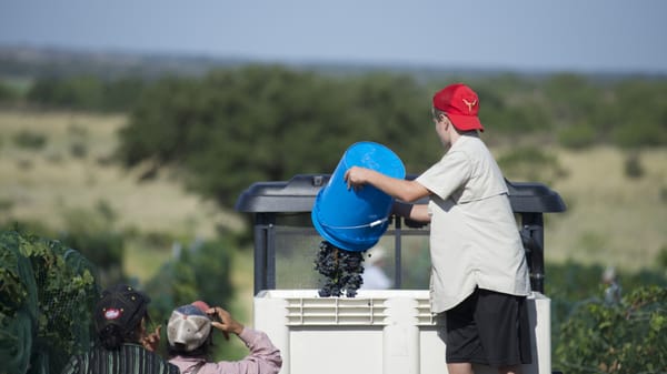 Robert Clay Vineyards Estate Winery & Tasting Room by null