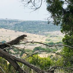 Balcones Canyonlands Preserve - Rimrock Trail