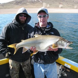 Blue Mesa Fishing - Laker