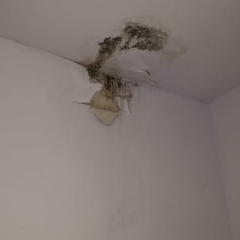 Diana Hatboro Nails and tanning - Water damage and MOLD!!!!!! - Nail Salons Near Me - Hatboro, Pennsylvania Diana Hatboro Nails and tanning - Water damage and MOLD!!!!!! - Nail Salons Near Me - Hatboro, Pennsylvania