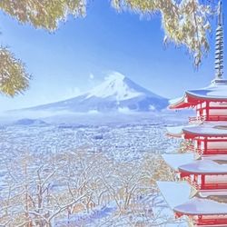 Fuji's Grill and Sushi - Mt Fuji Winter