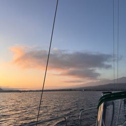 Sunset Kidd Sailing Cruises and Whale Watching