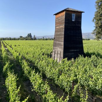 Senza Hotel - Hotels Near Me - Napa, California Senza Hotel - Hotels Near Me - Napa, California