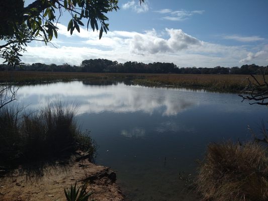 Charles Towne Landing State Historic Site by null