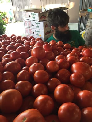 Farmers market in Kirkwood by null