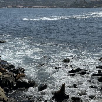La Jolla Cove - La Jolla Cove - Parks Near Me - La Jolla, California La Jolla Cove - La Jolla Cove - Parks Near Me - La Jolla, California