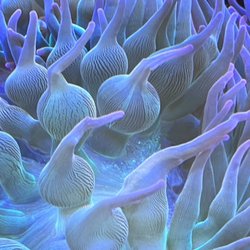 Aquarium Of Boise