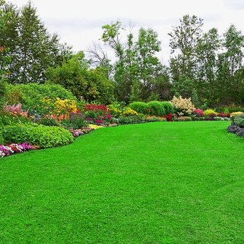Royalscape Green Lawn care - Beautiful garden - Lawn Services Near Me Royalscape Green Lawn care - Beautiful garden - Lawn Services Near Me