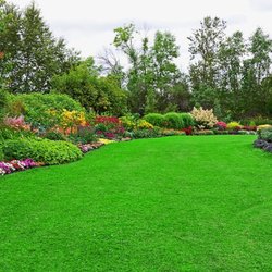 Royalscape Green Lawn care - Beautiful garden