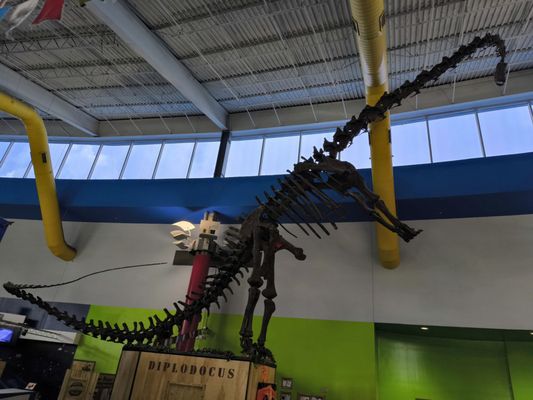 Museum of Science & Industry by null