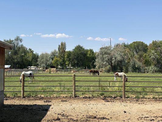 Wheeler Historic Farm by null