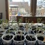 Photo of Mountain Meadows Montessori Preschool