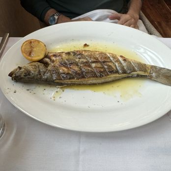 Skinos - Branzino - Greek Near Me - New York, New York Skinos - Branzino - Greek Near Me - New York, New York