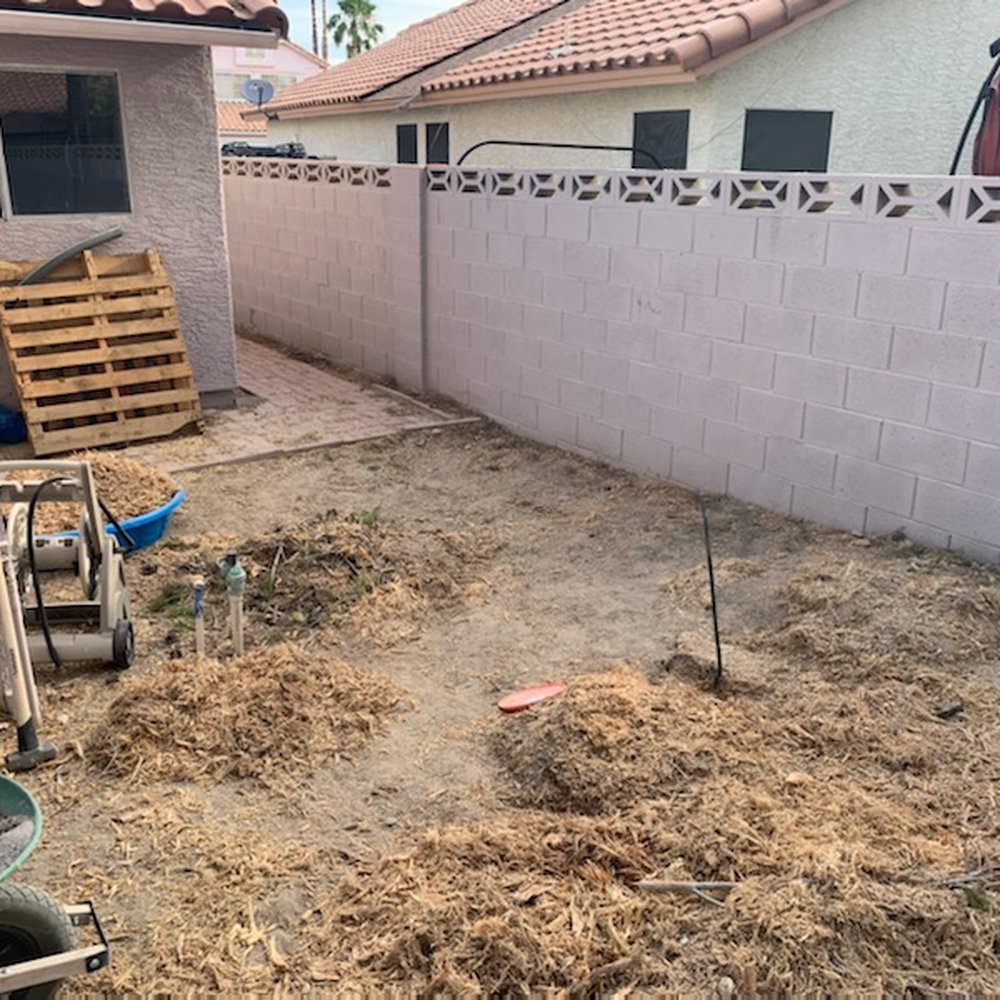 A Cut Above Tree Service - The mess they left around one of 4 trees removed. - Tree Services Near Me - Las Vegas, Nevada A Cut Above Tree Service - The mess they left around one of 4 trees removed. - Tree Services Near Me - Las Vegas, Nevada