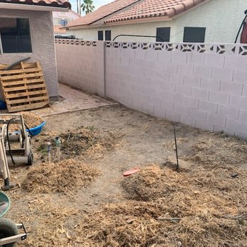 A Cut Above Tree Service - The mess they left around one of 4 trees removed. - Tree Services Near Me - Las Vegas, Nevada