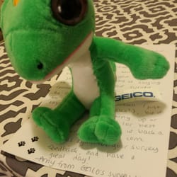 GEICO Insurance Agent - FREE stuffed animal and handwritten note! Who even does that anymore?