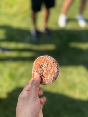 Swans Trail Farms by null