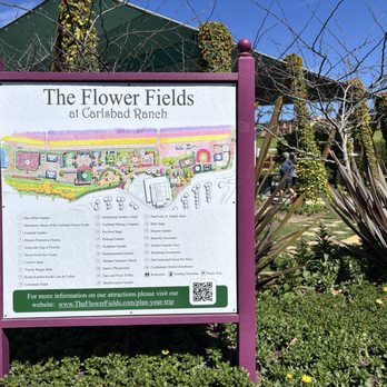 The Flower Fields - Venues & Event Spaces Near Me - Carlsbad, California The Flower Fields - Venues & Event Spaces Near Me - Carlsbad, California
