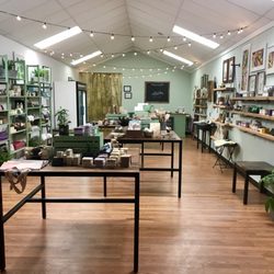 Salted Sanctuary Soap - Inside store.