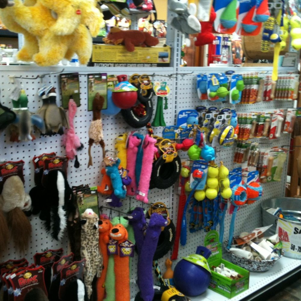 Tehachapi Pet Lodge & Outfitters - Pet Sitting Near Me - Tehachapi, California Tehachapi Pet Lodge & Outfitters - Pet Sitting Near Me - Tehachapi, California