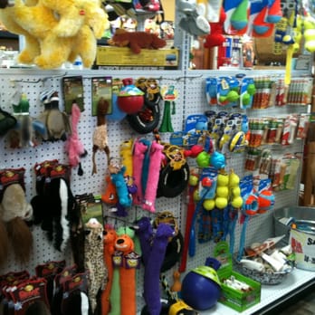 Tehachapi Pet Lodge & Outfitters - Pet Sitting Near Me - Tehachapi, California